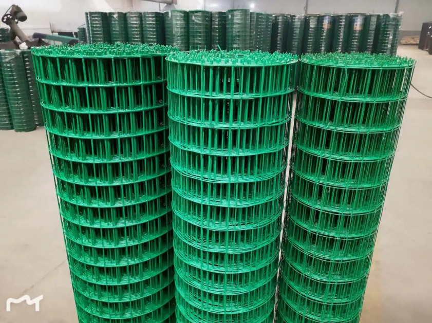荷兰网 荷兰网